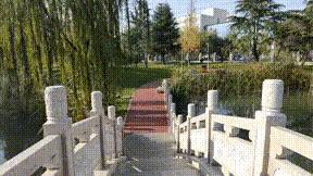 奥川稳定器xr优缺点,奥川xr稳定器疯狗模式