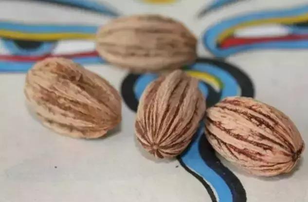 所有菩提手串大展示,菩提手串大全视频