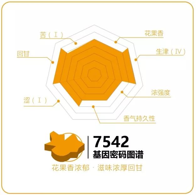 大益茶80周年献礼,致敬80年经典