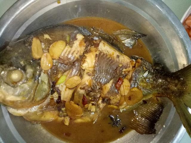 红烧海鲳鱼教程,红烧鲳鱼的做法视频王刚