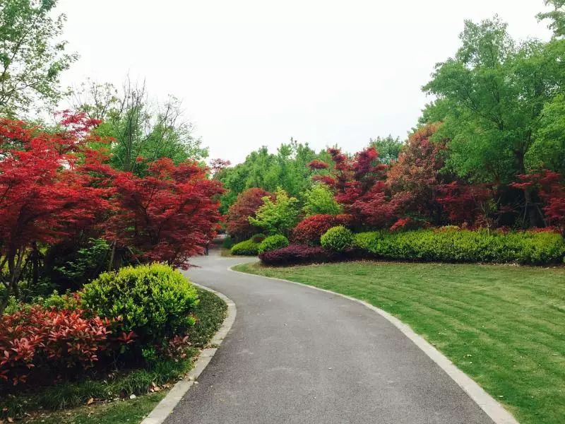 上海厉害了,厉害了上海