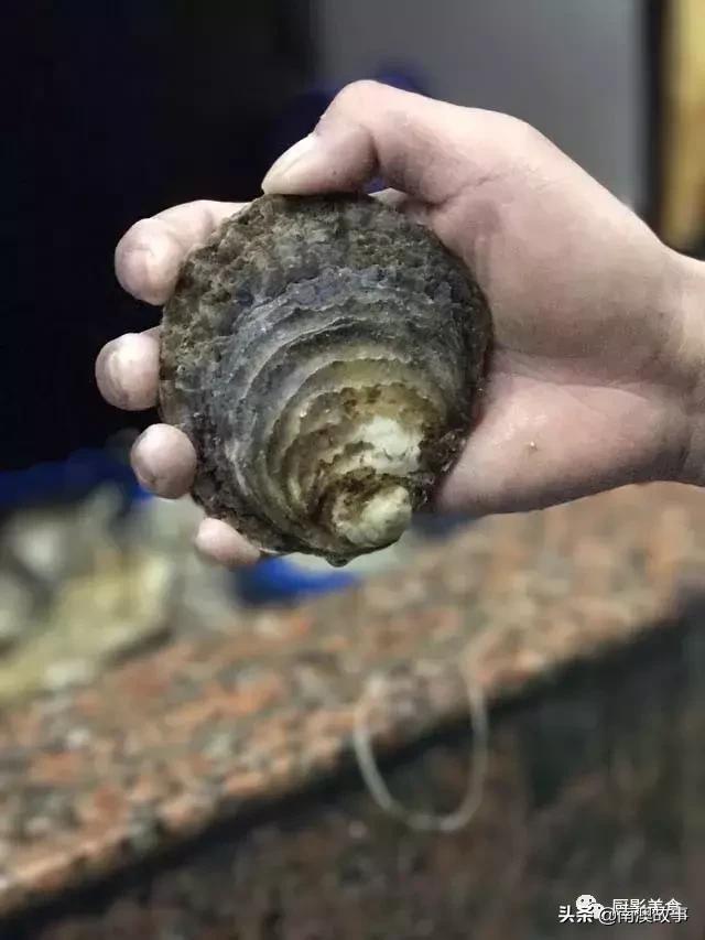 水煮贝壳类海鲜煮多久,海边海鲜用什么水煮好吃