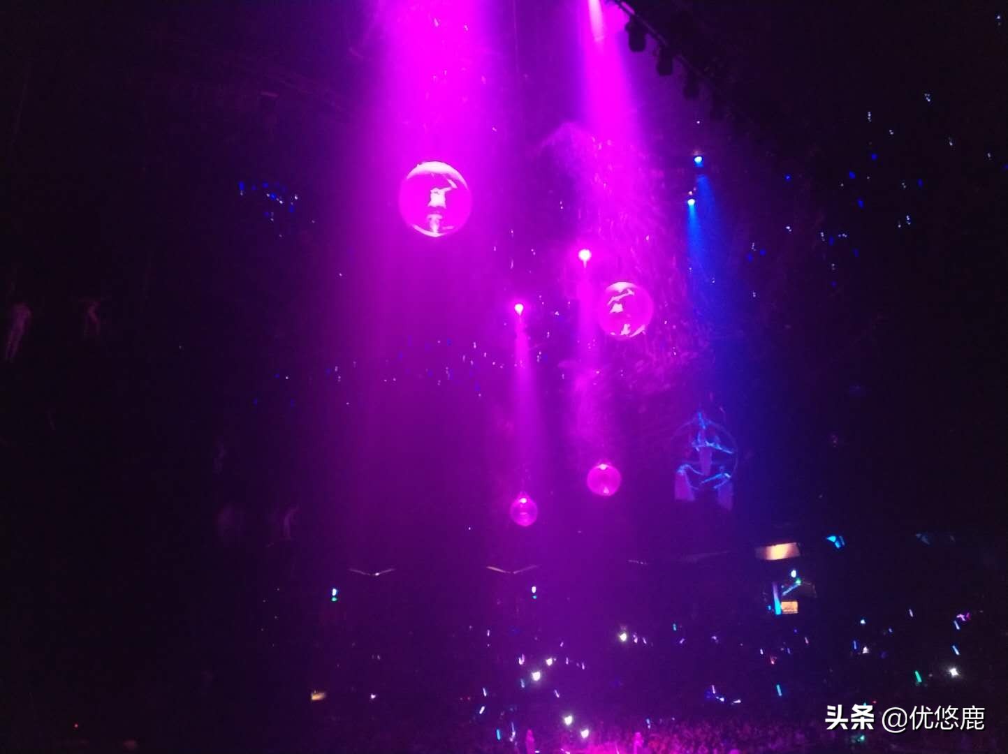 广州长隆野生动物园自驾大马戏,广州长隆野生动物园攻略马戏表演