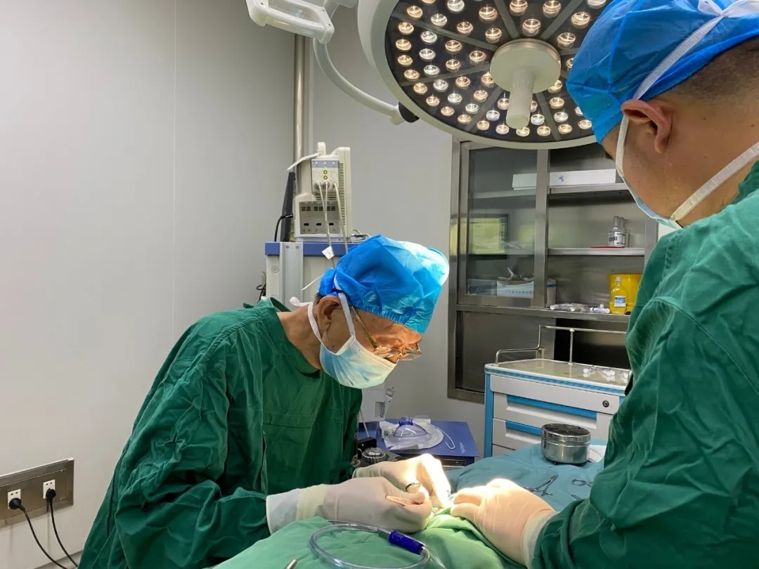 护士治疗打嗝,患者主诉疼痛时护士应该怎么做