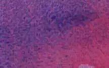 李木子水彩干货技法画法,水彩基础技法良心干货建议