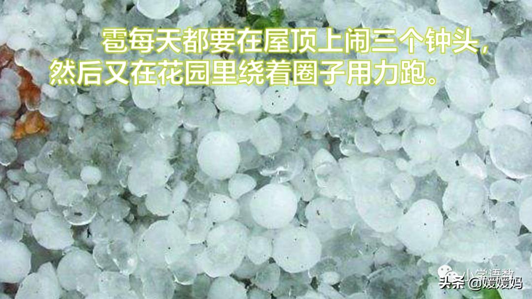 四年级下册巨人的花园课后题答案,四年级下册27课巨人的花园笔记