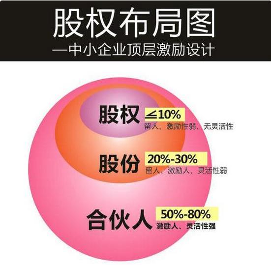 合伙人出力不出钱利润分成方案,合伙人只出钱不出力股权怎么分