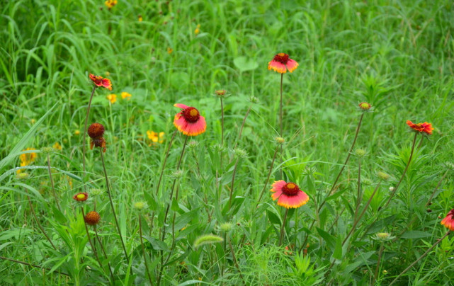 十二星座心情不好怎么宣泄,十二星座情绪低落时