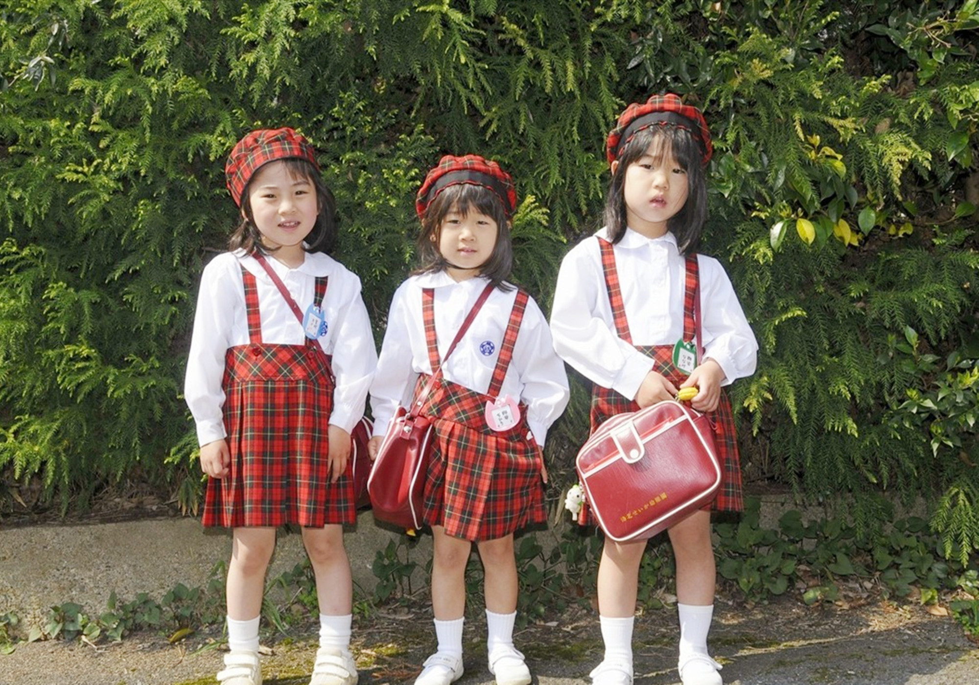 新幼儿园开哪些特色课程,幼儿园传统教学模式弊端