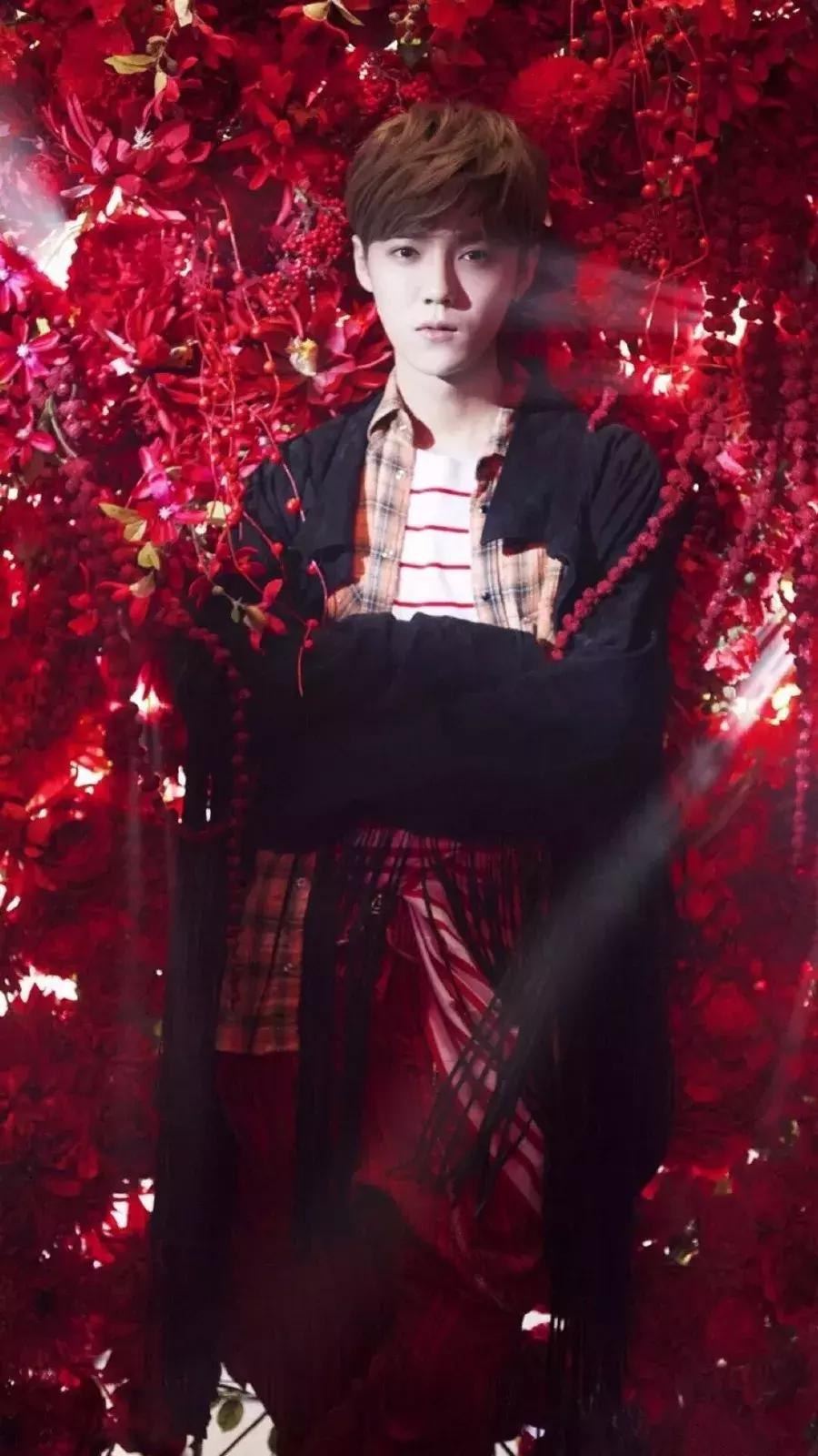 近期鹿晗热搜,鹿晗爱豆鸭