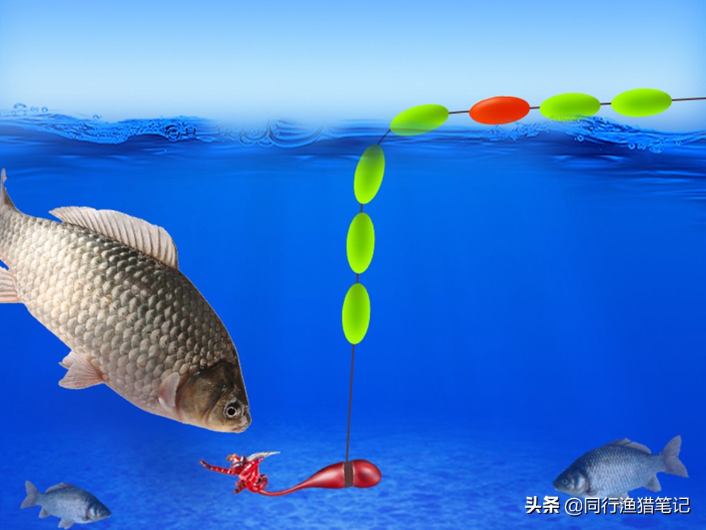 朝天钩七星漂如何调漂,李大毛调七星漂朝天钩完整版