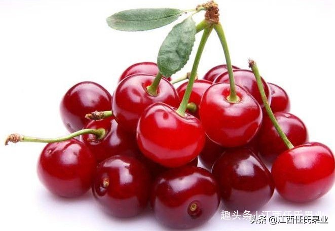 常吃樱桃能使皮肤变白吗,常吃樱桃有哪些好处