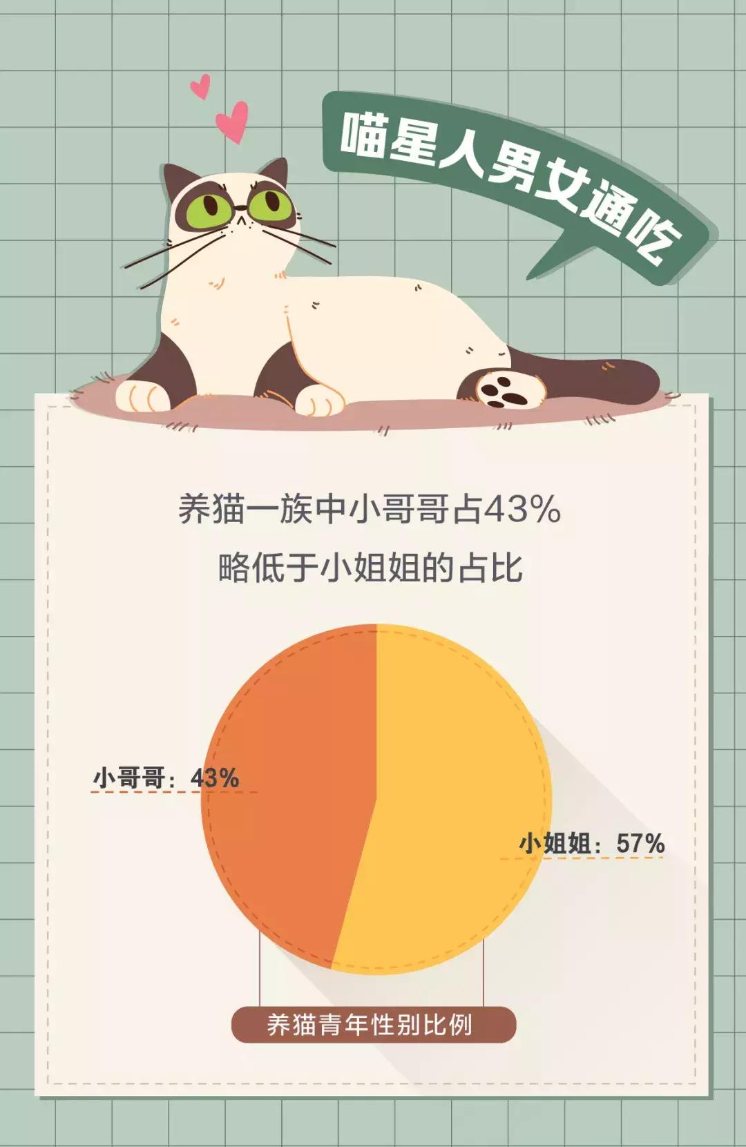 老板比猫还难搞定?最新职场青年吸猫不完全调查出炉