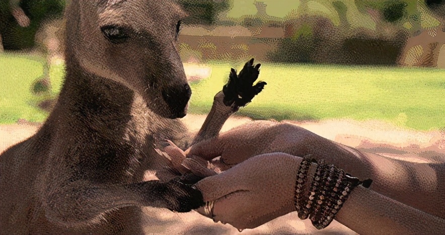 对海乘的职业认知,海乘工作的优势与缺点