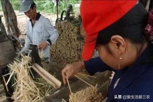 不想打工受气了做什么好,不想打工不想受气