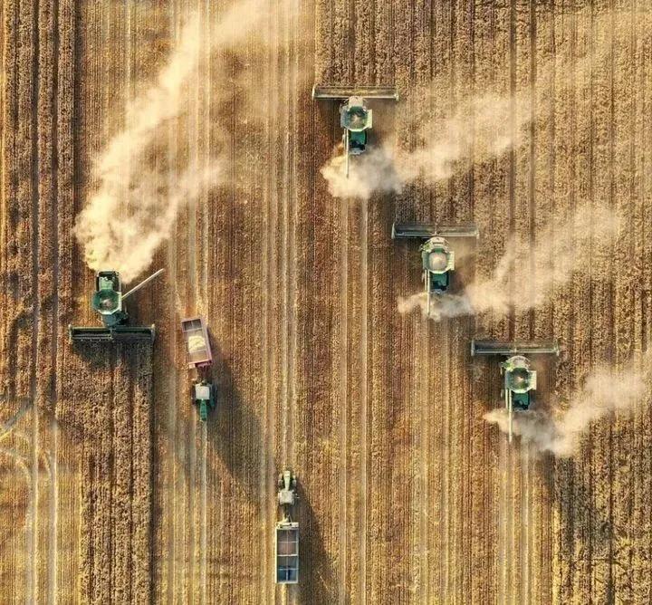 用钱去做农业会怎样,去农村搞种植业投资怎样做最好