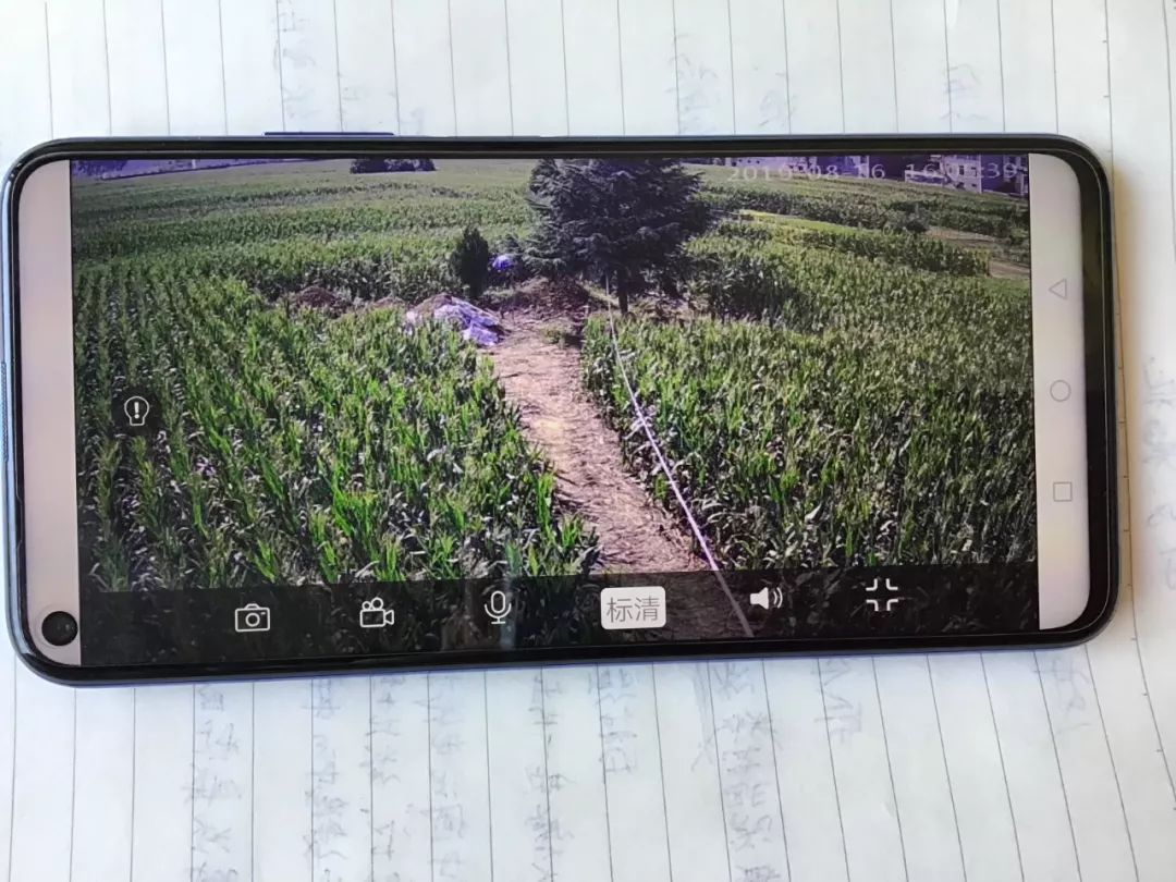 “阴婚”暗网20岁病故女孩10万元作底，价高者得