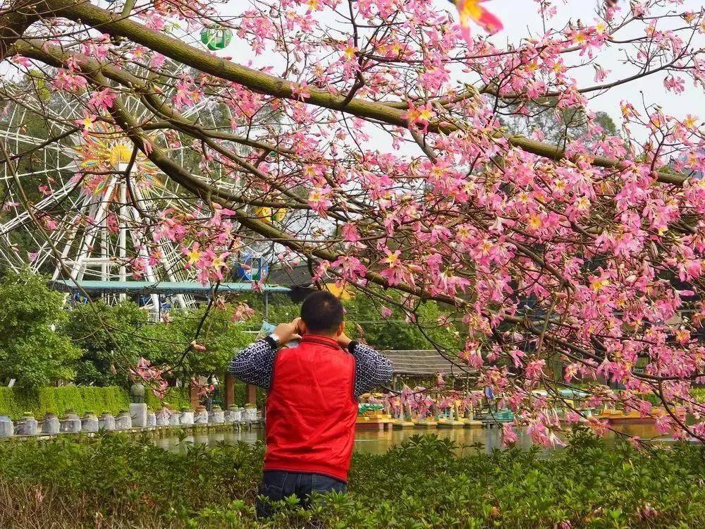 倒数狂欢夜,清远森波拉奇妙世界主题乐园住宿