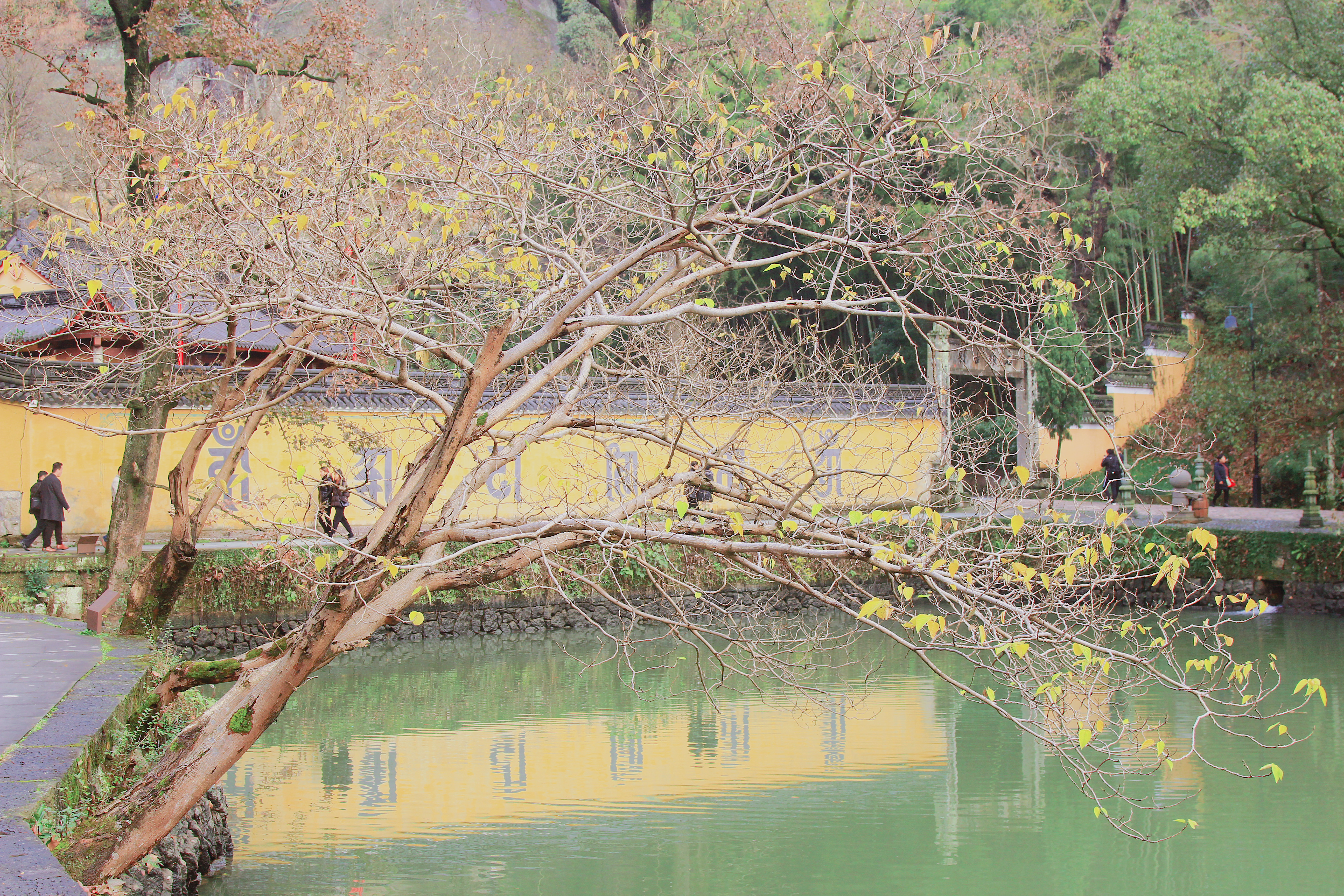 “越国敦煌”，1600多年的佛国洞天——新昌大佛寺