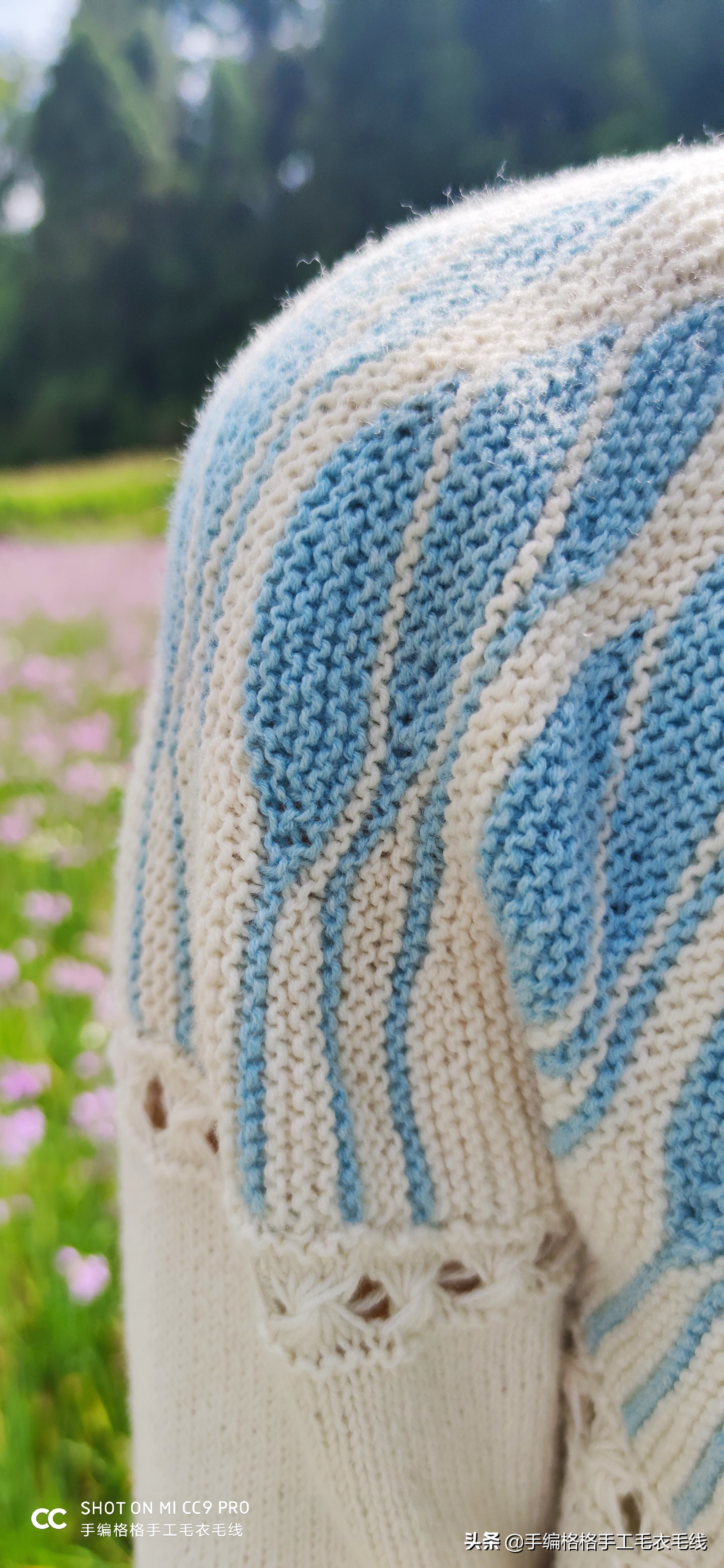 澳洲郁金香花语,郁金香花语教程全集