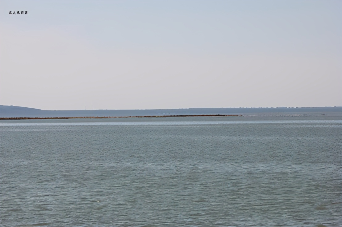 森林公园白鸟湖,乘风湖百鸟乐园