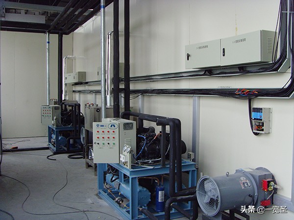 天津冷库厂家价格,金福临带鱼批发