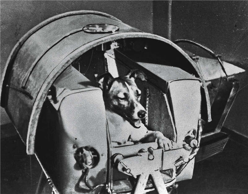 从“阿波罗1号”全体乘员牺牲，到实现20世纪最伟大成就之一，人类登月50年，从悲剧到传奇