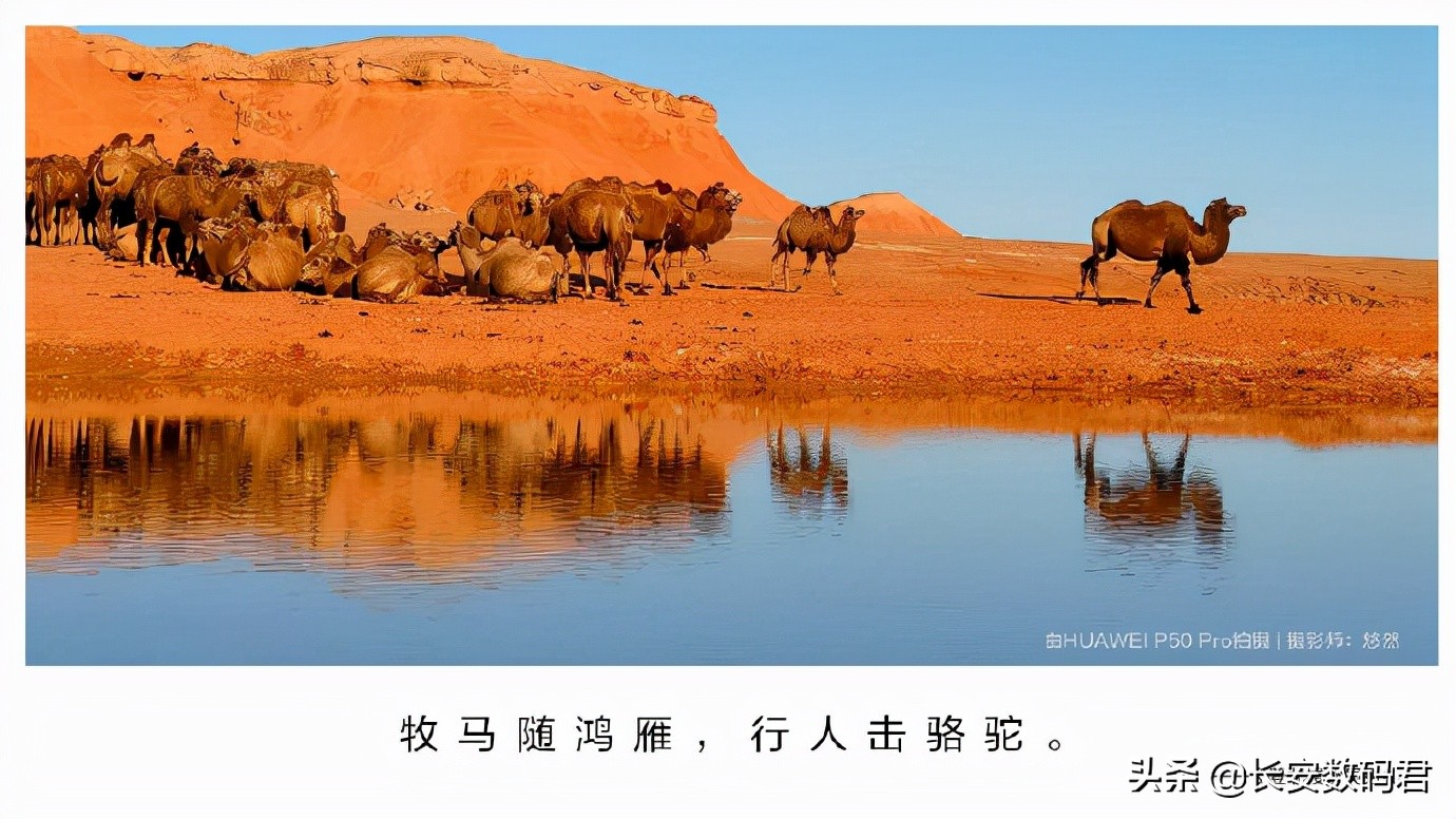 5g版华为p50测评,华为p50标准版2022年值得买吗