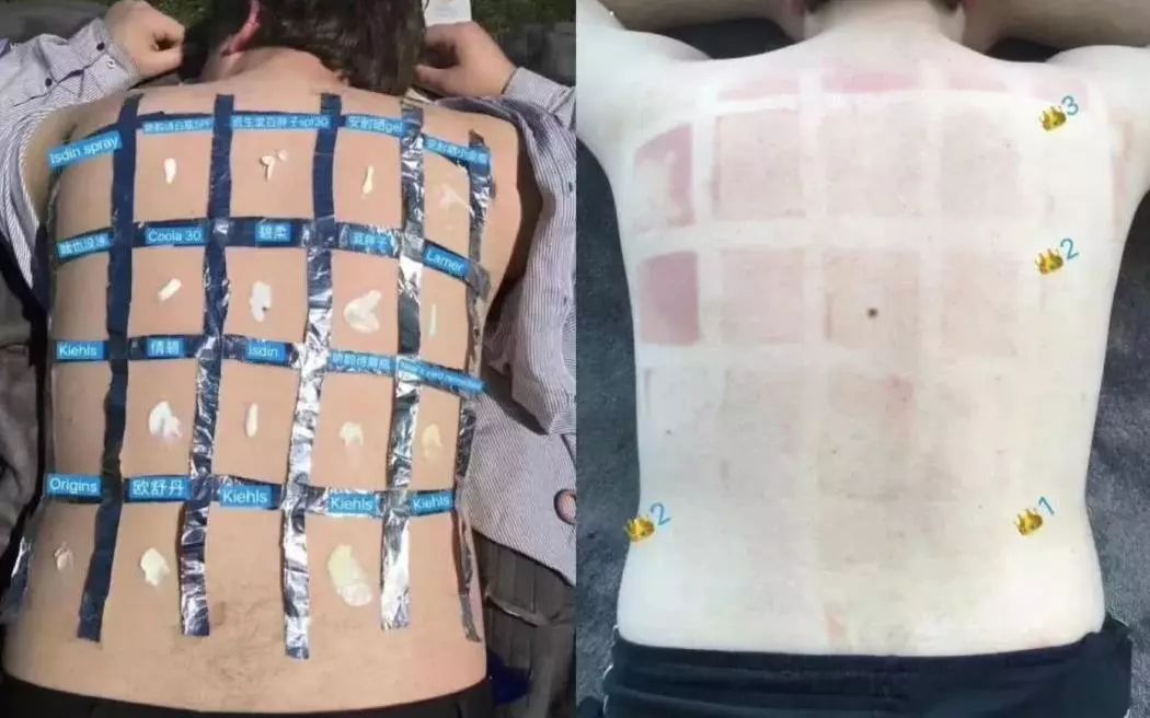 琚佸濮楁帹鑽愯憽钀勭苯鎶よ偆,琚佸濮楄憽钀勭苯绮惧崕