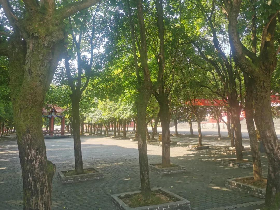 去江西花了1000+，我原本觉得亏了，直到遇见清华北大的学霸