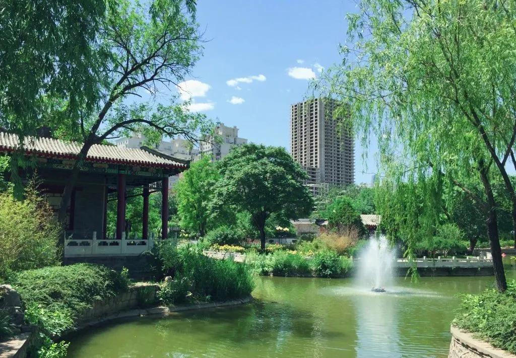 一个不出郑州的踏青好去处,天津春游公园推荐