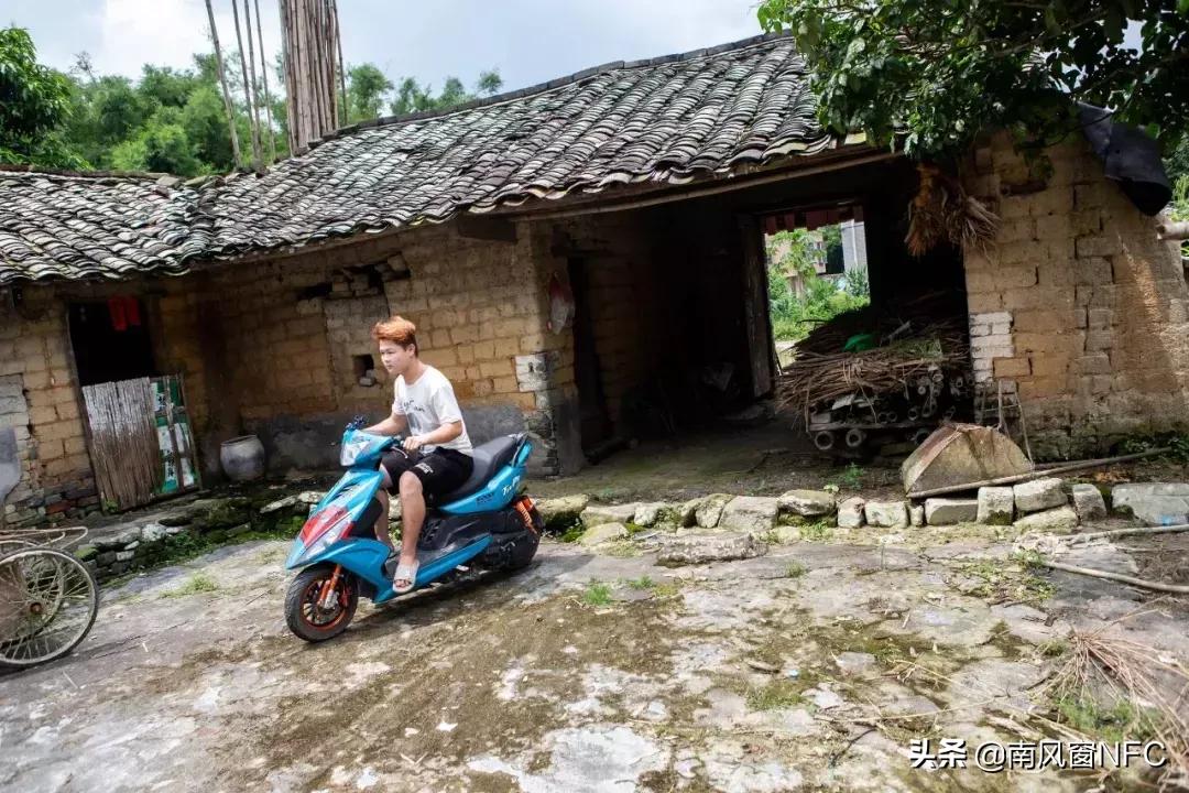 鬼火焚身小说,炎火焚身