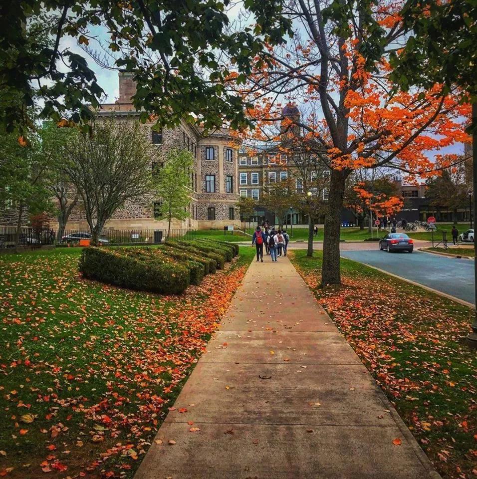 达尔豪斯大学介绍,达尔豪斯大学位置