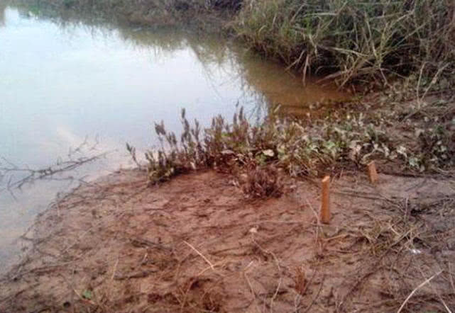 野生甲鱼的生活习性及钓法,20斤的野生甲鱼多少年能长这么大