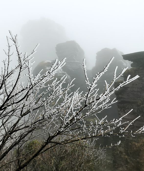 雨中的梵净山景色,烟雨梵净山