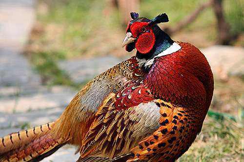 考古发现诡异巨人化石,考古学家发现怪异头骨