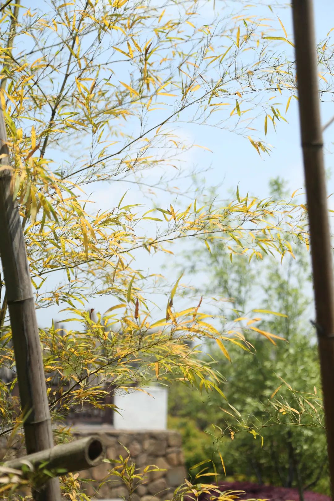 天域开元度假酒店吃饭,天域·开元观堂酒店