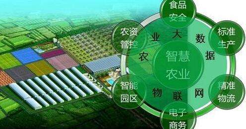 农业信息化技术推广工作,对农业发展有帮助的成就