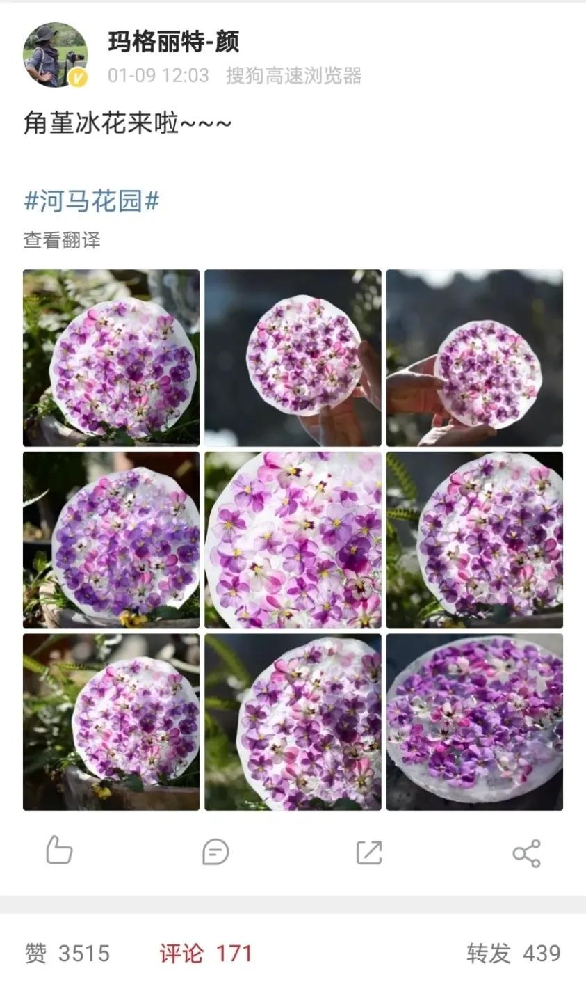 寒潮来袭，你的阳台也能开出这样的“水晶花”