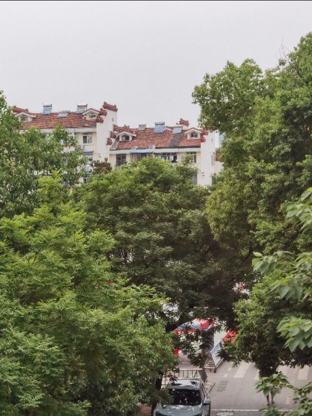 琥珀龙虾一条街价格,贵池路龙虾一条街