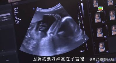 深度解读早教,好几万的早教课,到底有没有必要上?看完你就懂了