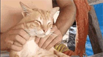 骨科董家,董家骨科青岛