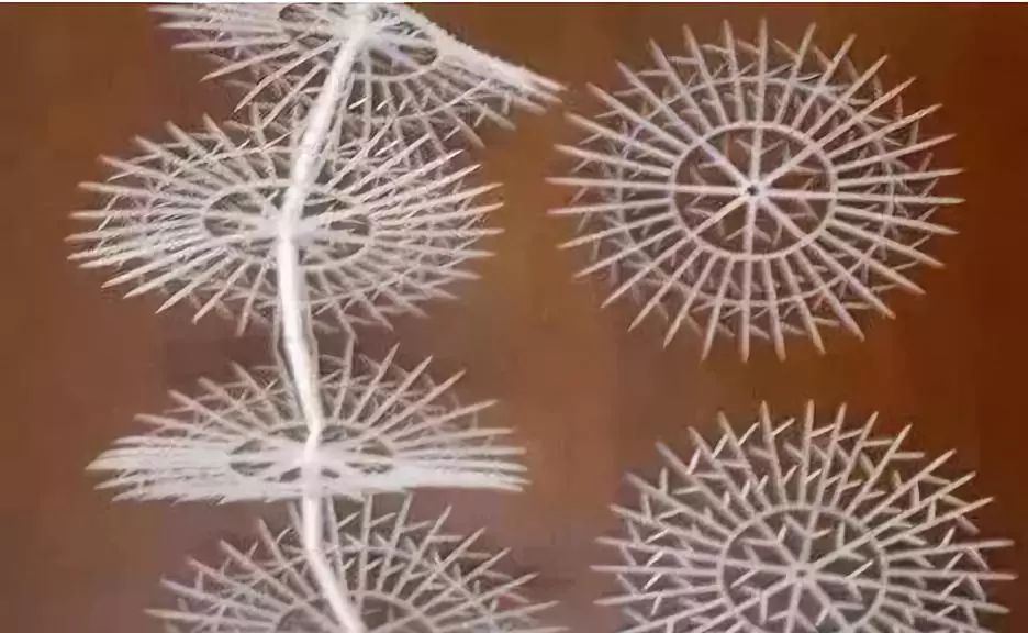 污水处理厂填料的分类与选择ppt,各种填料在污水处理中的使用