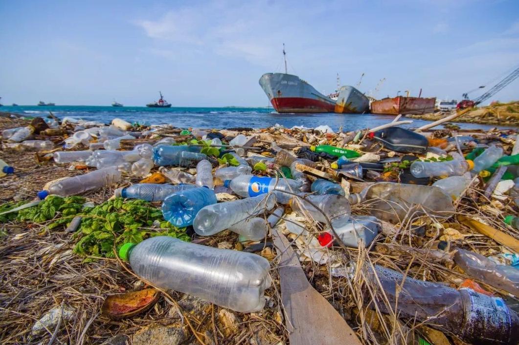 常见而持久的微塑料是什么，为什么它会对北极海冰造成威胁？