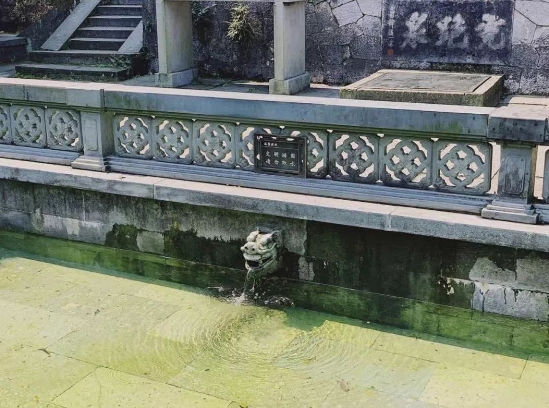 花港一楼茶楼,花港公园一元早茶