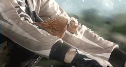 拿鸡当摄像机,拿鸡当摄像头