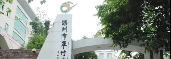 罗湖小学排名前十名,2018深圳罗湖小学前十名