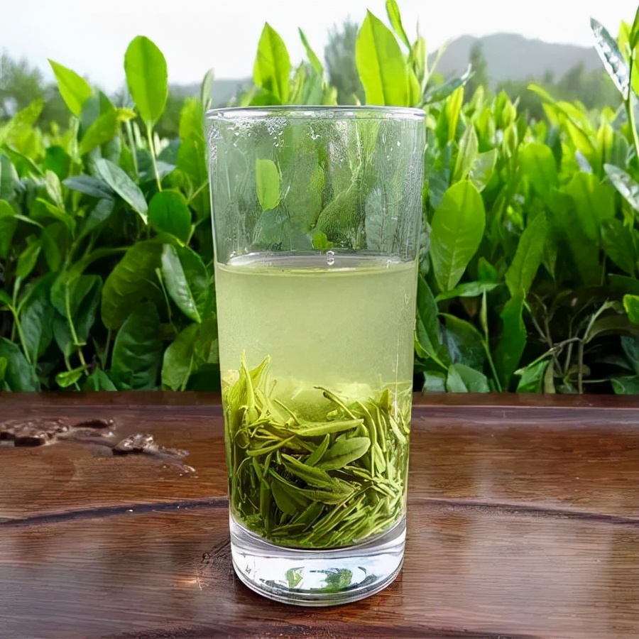 信阳毛尖有那么大功效吗,信阳毛尖功效视频