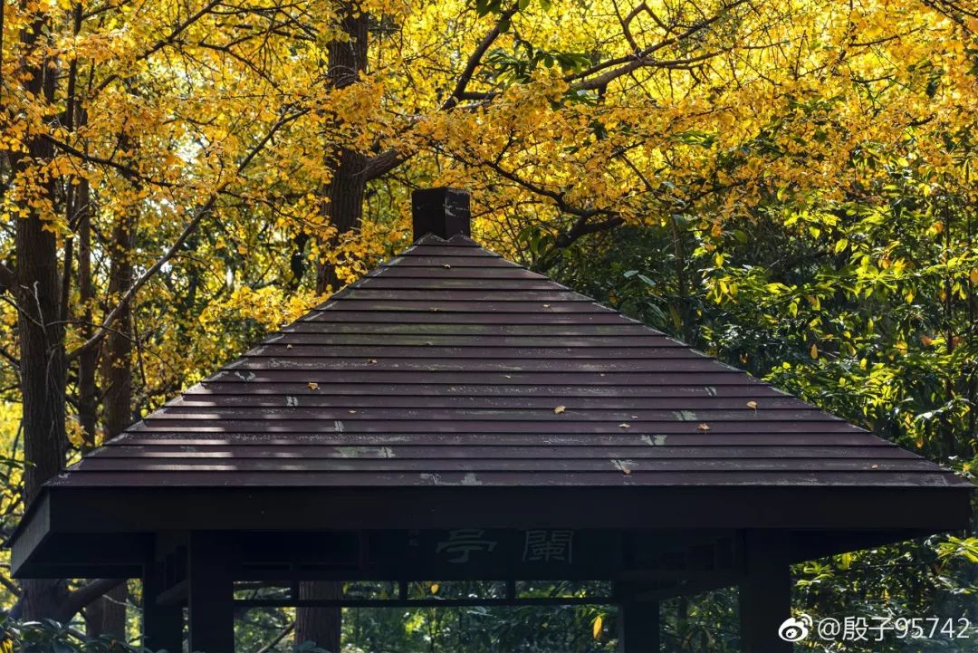 南京小众景点,南京小众花园秘境