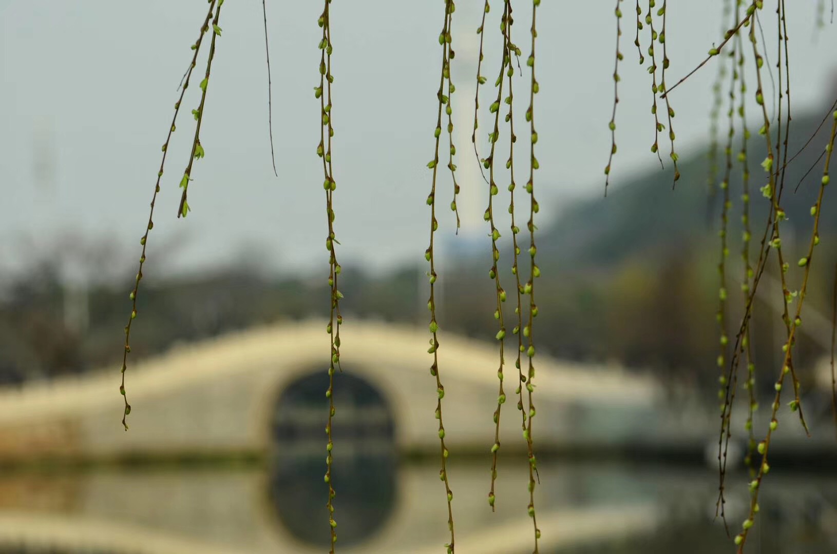 老牛啃嫩草怎么理解,怎么才能拥有姐弟恋